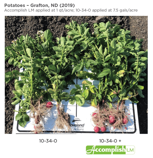 LM Is a Great Fit for Potato Growers